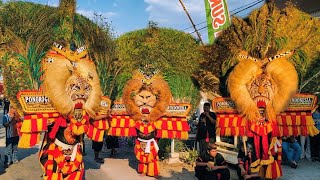 Download lagu MERINDING❗BARONGAN REOG PONOROGO TERBESAR DIDUNIA GEGERKAN JALAN DESA SUKOREJO KEBONSARI MADIUN 2026 mp3 Download lagu MERINDING❗BARONGAN REOG PONOROGO TERBESAR DIDUNIA GEGERKAN JALAN DESA SUKOREJO KEBONSARI MADIUN 2026 mp3
