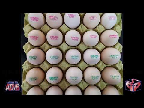 Colored Touch Screen Six-Head Egg Jet Printer Model IJP - EGG-19B