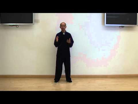 Tai Chi Qigong Shibashi Set 2 - Home Study Course