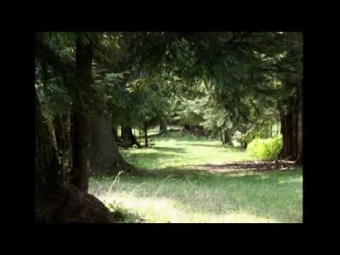 Reportajul urcarii pe Vf. Ousorul (video & imagini)