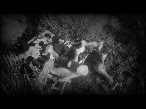 UFO Cow Abduction Proof **Lost Tapes**