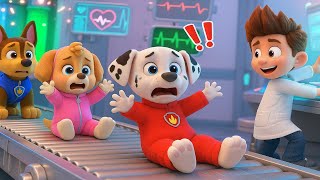 Download lagu ¡CHASE y SKYE perdieron su color! ¿RYDER se volvió malvado? - PAw PAtrol en Español | Rainbow 3 mp3 Download lagu ¡CHASE y SKYE perdieron su color! ¿RYDER se volvió malvado? - PAw PAtrol en Español | Rainbow 3 mp3