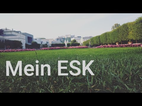 Mein ESK - ESK Erklärt