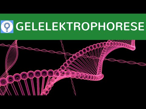Verursacht Staus in den Ohren von Osteochondrose Wie man wunde Füße und Gelenke behandeln