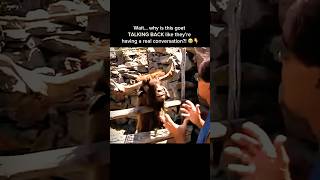 Goat Talking Back Caught on Camera