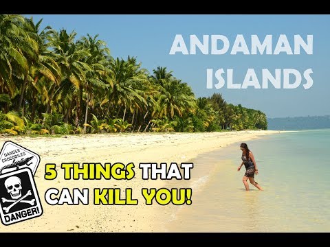 ANDAMAN ISLANDS | 5 things that can kill you!