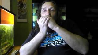Video thumbnail for Harmonica Hohner Big River by gromozeka400