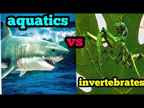 1 VS 1 AQUATICS VS GIANT INVERTEBRATES animal revolt battle simulator FACTION BATTLE