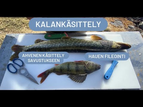 Kalankäsittely - hauen fileointi & ahvenen perkaaminen