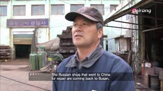 In Frame Ep15 Life in Ocean's Embrace 바다, 삶을 품다