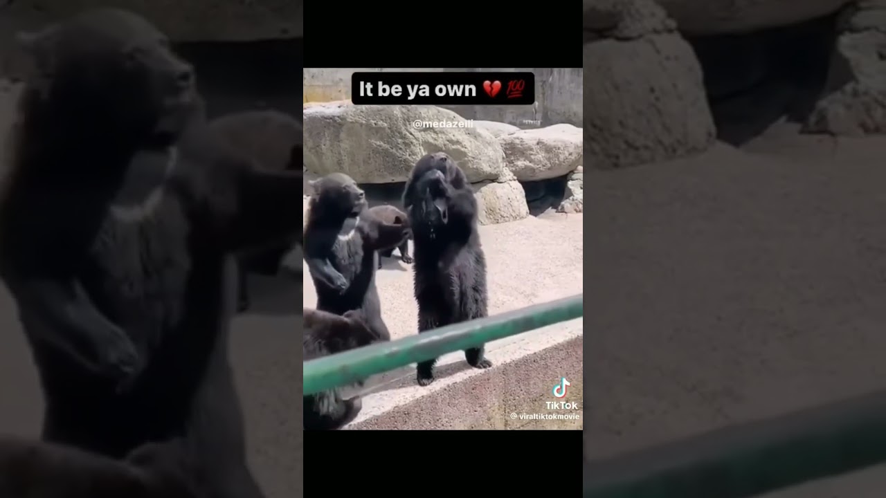 Secret Hidden menu idea Mcshower