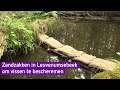 Zandzakken ingezet tegen extreme droogte op Veluwe