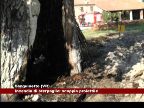 Sanguinetto (VR). Incendio di sterpaglie: scoppia proiettile 28.09.2015