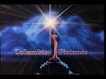 Columbia Pictures 1988 Company Logo VHS Capture