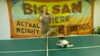 Пинг-понг котик :)