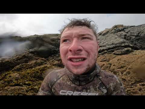Spearfishing and wild camping in Cornwall part 2