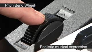 Video thumbnail for Casio CTK 3200 Full Size Keyboard by CasioMusicStudio