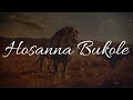 Hosanna Bukole | Daniel Lubams | 2 Hour Prophetic Worship Instrumental | Arinze David