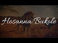 Hosanna Bukole Daniel Lubams 2 Hour Prophetic Worship Instrumental Arinze David