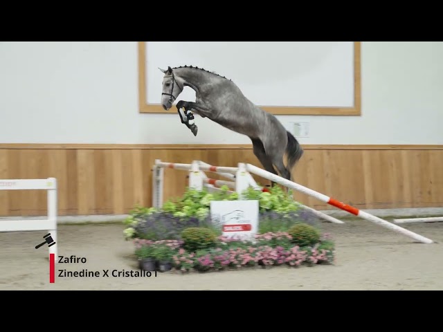 Zafiro