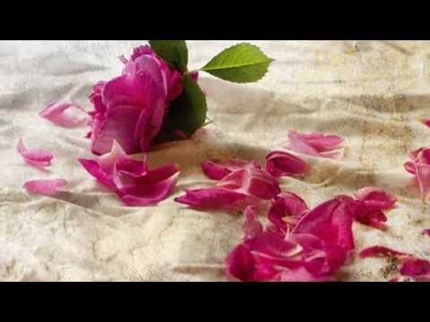 Shannon Mercer "O vive rose" (Caccini)