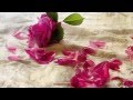 Shannon Mercer "O vive rose" (Caccini) 