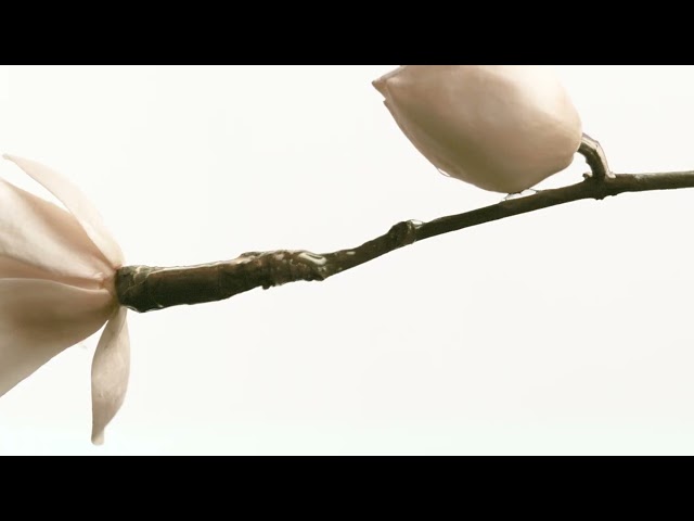 50ML Issey Miyake L'Eau d'Issey Eau & Magnolia Eau de Toilette Spray  5 of 5 