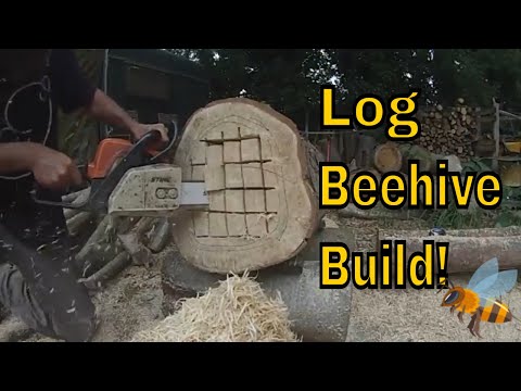 Beekeeping Beginner / DIY Log Beehive / Build and Setup.