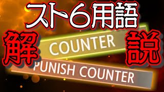 【スト６備忘録】フレーム？？パニカン？？何それ？システム用語ガッツリ解説①