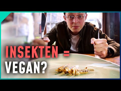 Empfinden Insekten Schmerzen?