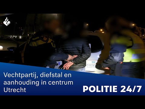 Vechtpartij, diefstal en aanhouding | POLITIE 24/7