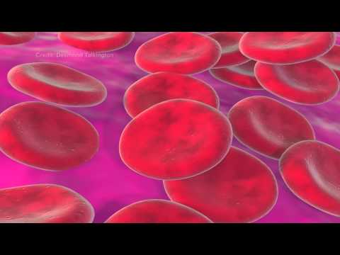 Meet the SU2C CTC-Chip Dream Team