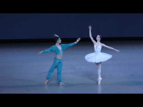 2.06.21 Вечер балета: М.Ильюшкина, В.Кайшета. "Баядерка" - па-де-де.