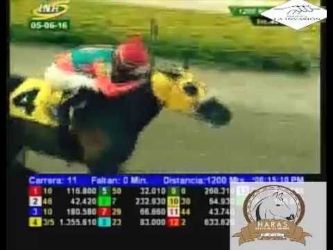 LA RINCONADA 11 CARRERA, DOMINGO 05 DE JUNIO DEL 2016