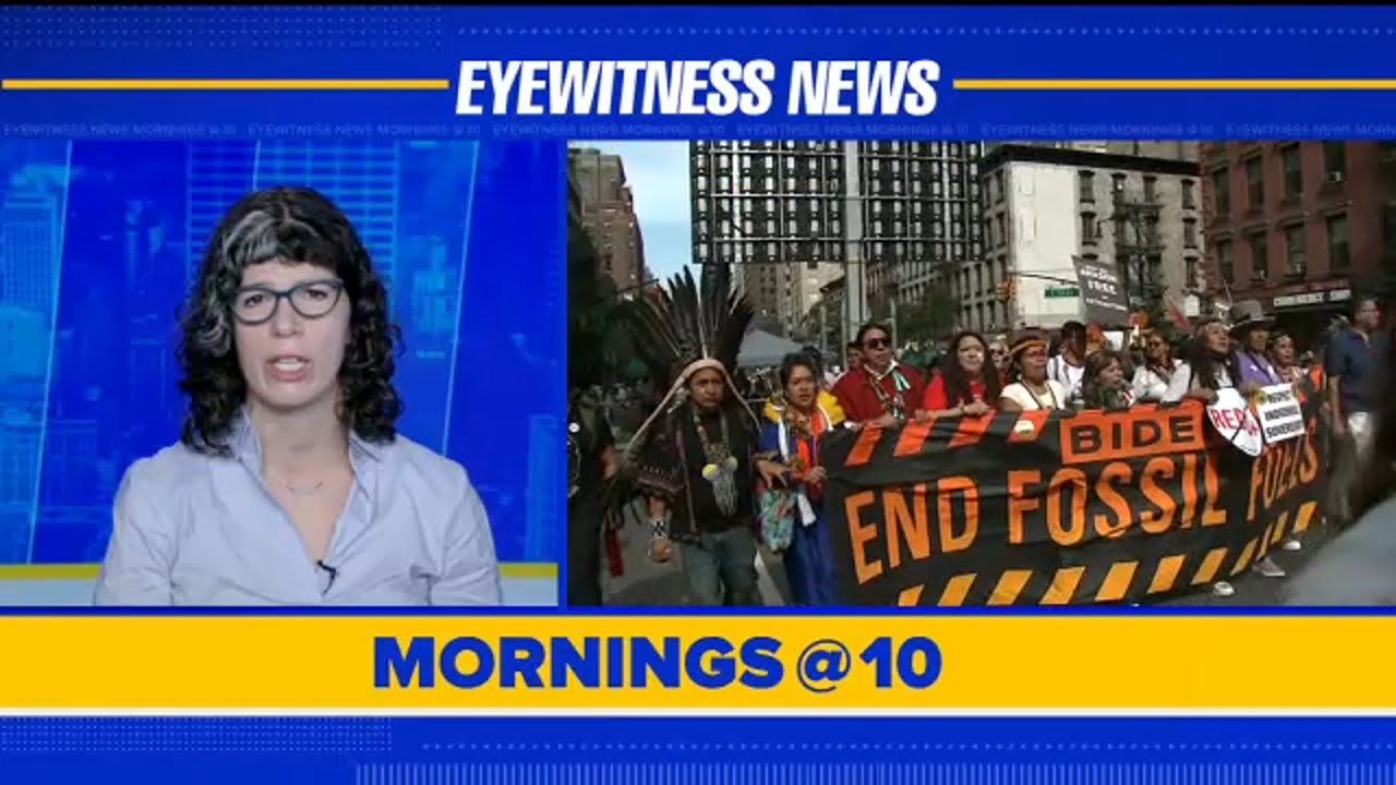 Researcher explains reasons and goals for climate protests