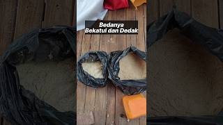 Download lagu The Difference Between Bran and Rice Bran: Which is Better for Chicken Feed? #shorts mp3