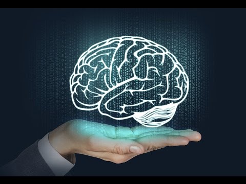 Gdzie w naszym ciele jest skłonność do ryzyka - dr Szymon Wichary