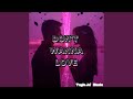 Don T Wanna Love