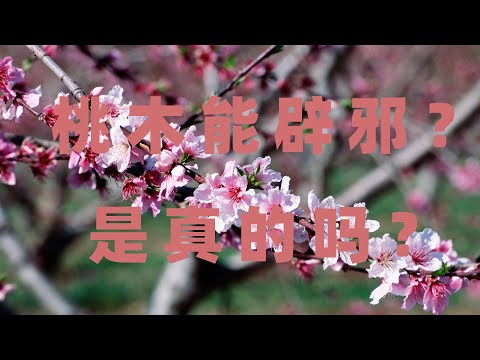 桃枝避邪