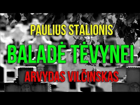 Paulius Stalionis ir Arvydas Vilčinskas - BALADĖ TĖVYNEI