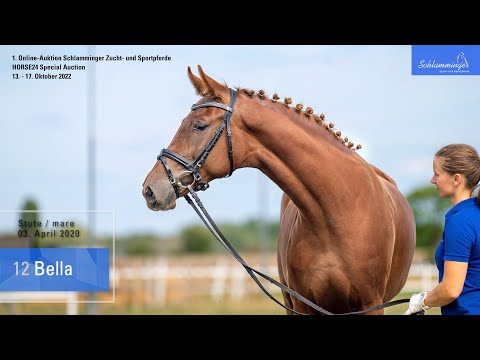 Schlamminger-Auktion Lot 12 Bella Stute v. Benicio - Fidertanz