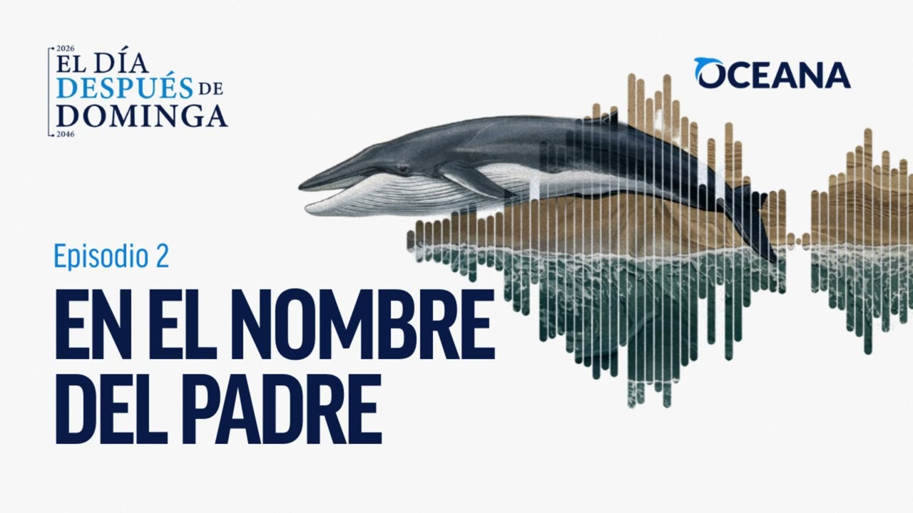 Podcast "El Día Después de Dominga": Episodio 2