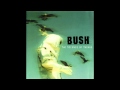 Bush - Mindchanger