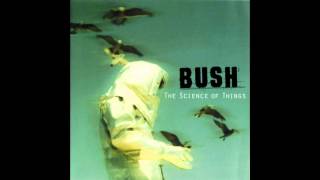 Bush - Mindchanger