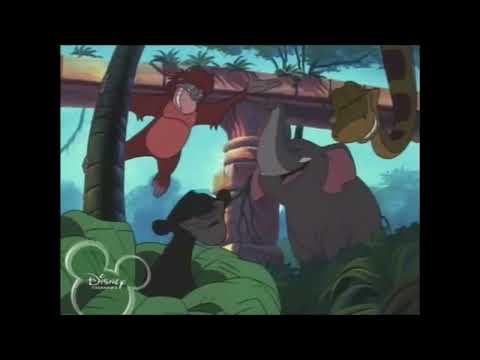 Dschungelbuch Kids - Nehmt euch viel viel Zeit