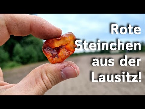 Ich suche rote Lausitzer Chalcedone - Edelsteine sammeln in Deutschland