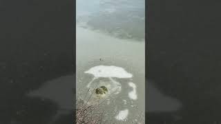 Rock breaks through the ice causing a splash. #SplashSound