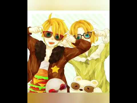 APH CANADÁ X AMERICA : AMECAN🇨🇦🇺🇸🐱🐱