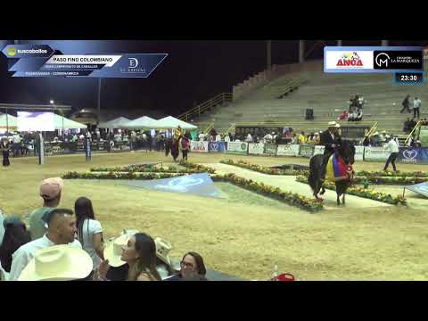 EXPOEQUINA GRADO "A" FUSAGASUGA - CUNDINAMARCA 2026 - TROTE Y GALOPE (MACHOS) / PASO FINO COLOMBIANO