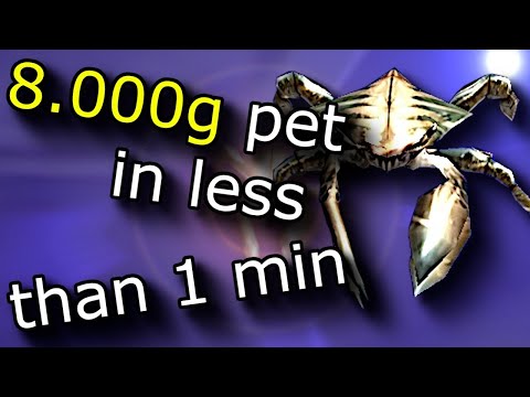 8000g Battle Pet in Less Than 1 Minute | WoW Solo Farm